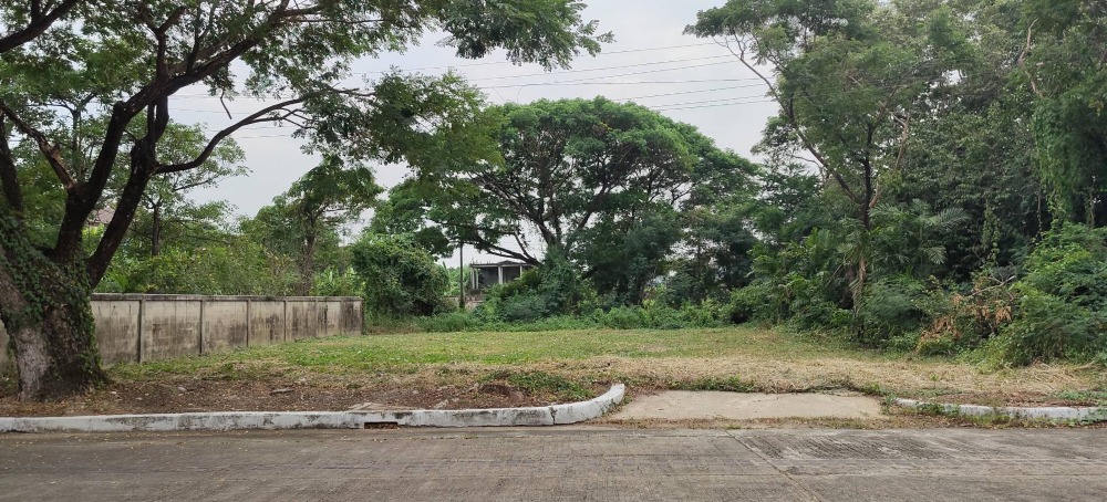 For SaleLandBang kae, Phetkasem : Empty land for sale, 122 sq w., Bang Khae District, Phutthamonthon Sai 2 Road, Soi 11, Ruam Kao Village.