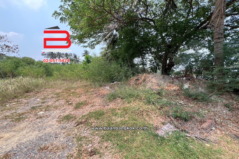 For SaleLandNakhon Pathom : Empty land near the Shrine of Chao Pho Kae Sakae Toi, area 4-2-4 rai, opposite Somjit Phan Mai. Borommaratchachonnani Road, Hom Kret Subdistrict, Sam Phran District, Nakhon Pathom Province