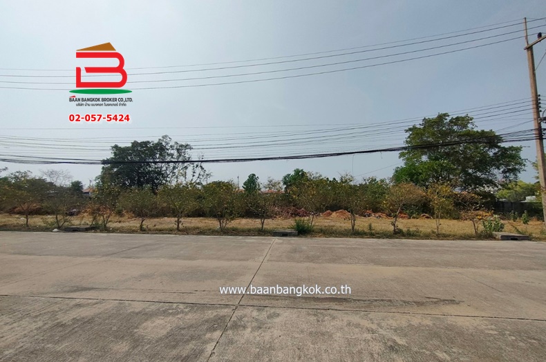 For SaleLandPathum Thani,Rangsit, Thammasat : Empty land, Saranthorn Khlong 4, area 1-1-60 rai, Phra Ong Chao Sai Khlong 4 Road, Bueng Yitho Subdistrict, Thanyaburi District, Pathum Thani Province.