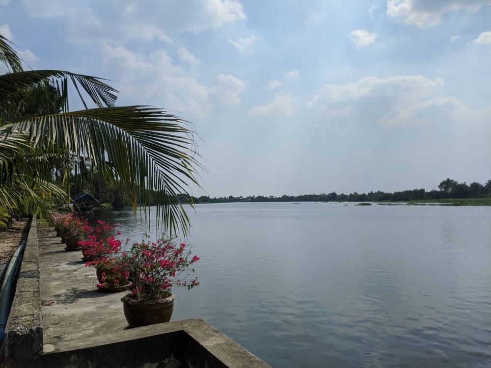 For SaleLandMahachai Samut Sakhon : Land for sale next to the Tha Chin River. Sam Phran-Nakhon Pathom section, 5 rai 2 ngan 86 sq m, beautiful view, good atmosphere, near Wat Tha Mai, Suan Sam Phran.