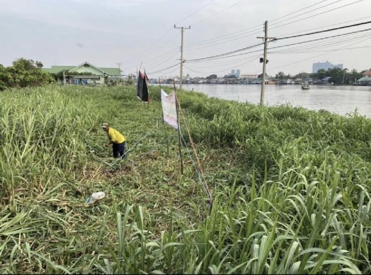 For SaleLandNonthaburi, Bang Yai, Bangbuathong : Waterfront land for sale, cheap, urgent, several plots at Koh Kret.