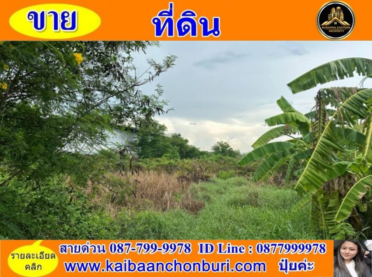 For SaleLandPattaya, Bangsaen, Chonburi : 📌#Empty land for sale #Next to public road📌Location: Koh Loi Subdistrict, Phan Thong District, Chonburi Province