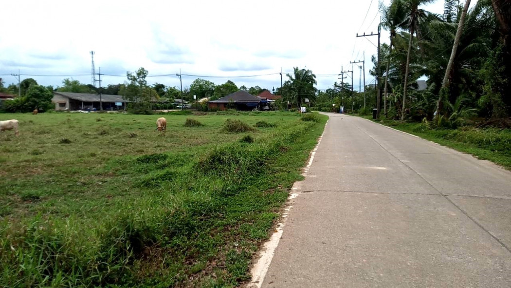 ขายที่ดินชุมพร : ขาย ที่ดิน ที่สวย แปลงมุม หลังสวนชุมพร ถ.ประชาราษฏร์ ซอย 1 หลังสวนซอย 9 เหมาะสร้างบ้านจัดสรร