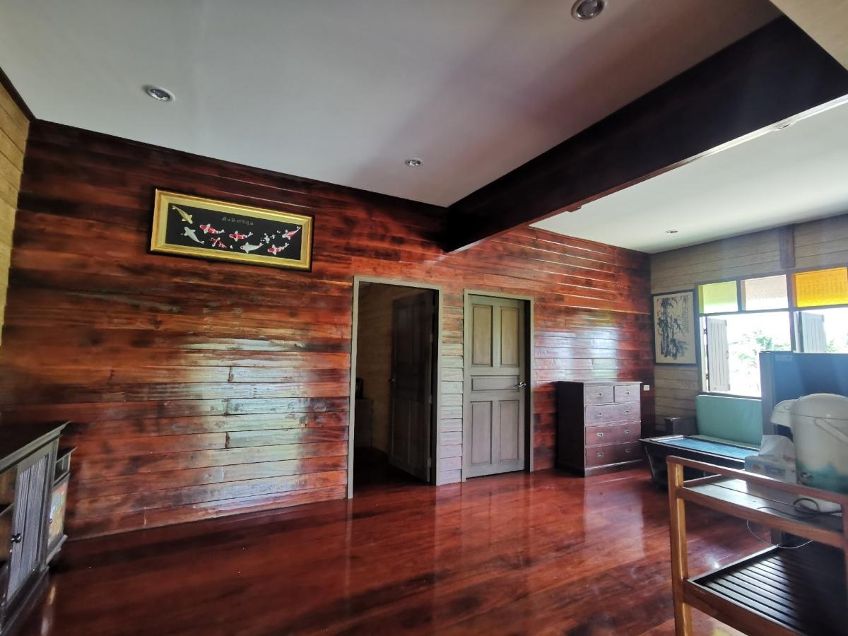 For RentHouseKorat Nakhon Ratchasima : Wooden house (newly built) in ancient Isaan Thai style, for rent, Sikhiu, Korat, next to rice fields, fish pond view.