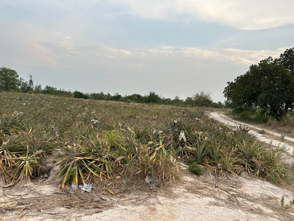 For SaleLandCha-am Phetchaburi : Vacant land, beautiful location