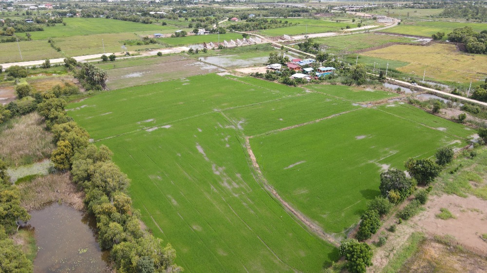 For SaleLandAyutthaya : Land for sale, Rojana Road, Lam Ta Sao Subdistrict, Ayutthaya Province, area 22 rai 3 ngan 84 sq m. Near Lam Ta Sao Subdistrict Administrative Organization, 4 minutes.