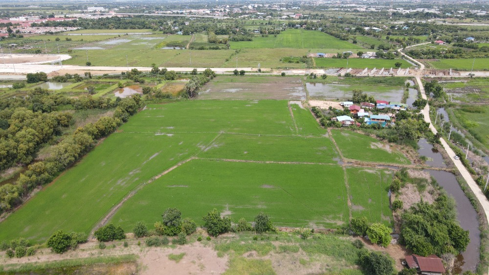 For SaleLandAyutthaya : Land for sale, Rojana Road, Lam Ta Sao Subdistrict, Ayutthaya Province, area 22 rai 3 ngan 84 sq m. Near Lam Ta Sao Subdistrict Administrative Organization, 4 minutes.