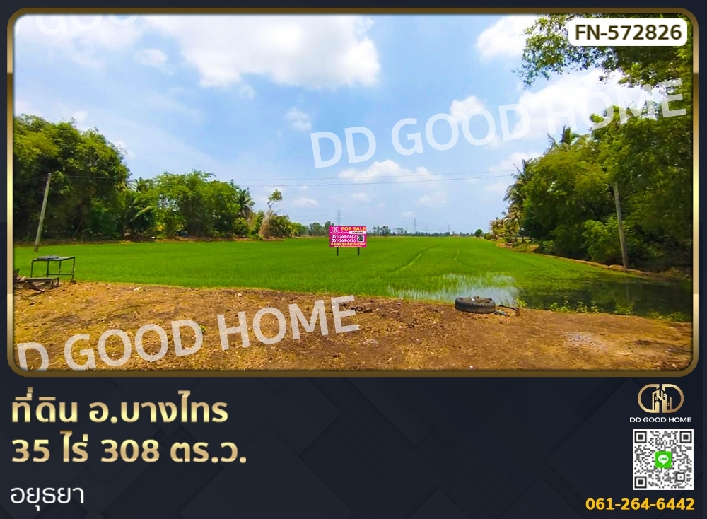 ขายที่ดินอยุธยา : 📢ที่ดิน อ.บางไทร 35 ไร่ 308 ตร.ว. อยุธยา