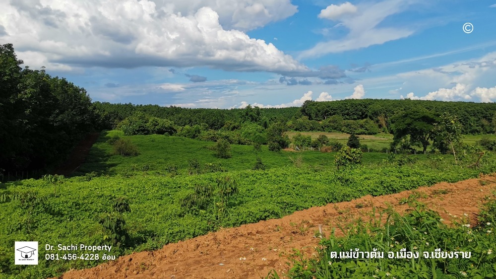 For SaleLandChiang Rai : Beautiful land for sale, 25-2-58 rai, near PB Valley Farm, Chiang Rai Province