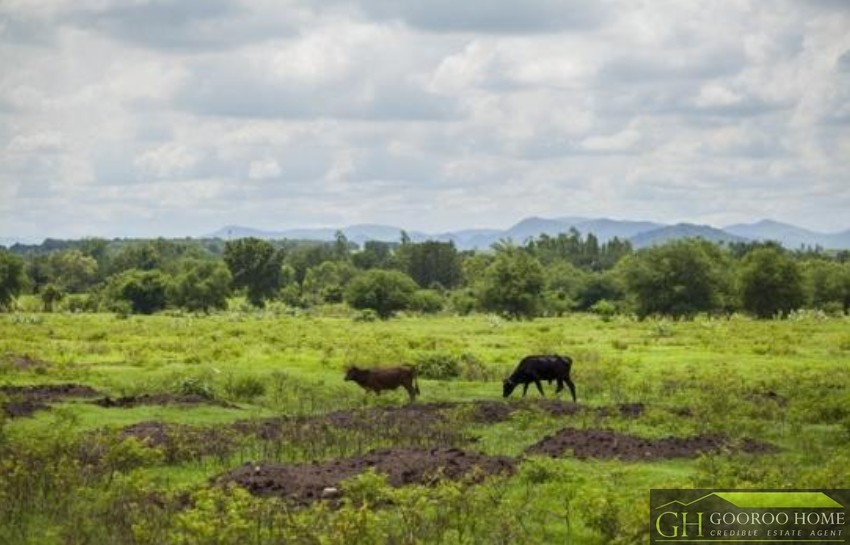 For SaleLandRatchaburi : Large plot of land for sale, area 861-1-30 rai, Ban Pong, Ratchaburi, near Sammaram Temple, good location, next to the main road.