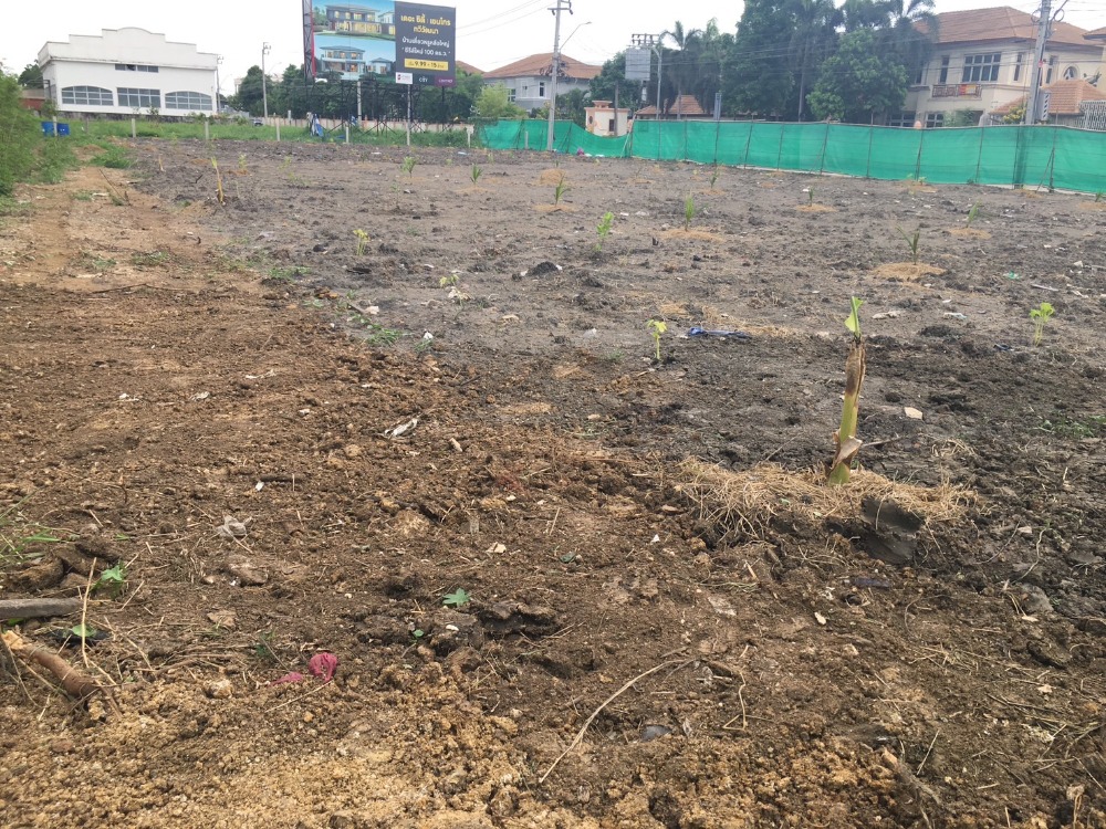 For RentLandBang kae, Phetkasem : Land for rent Phutthamonthon Sai 3