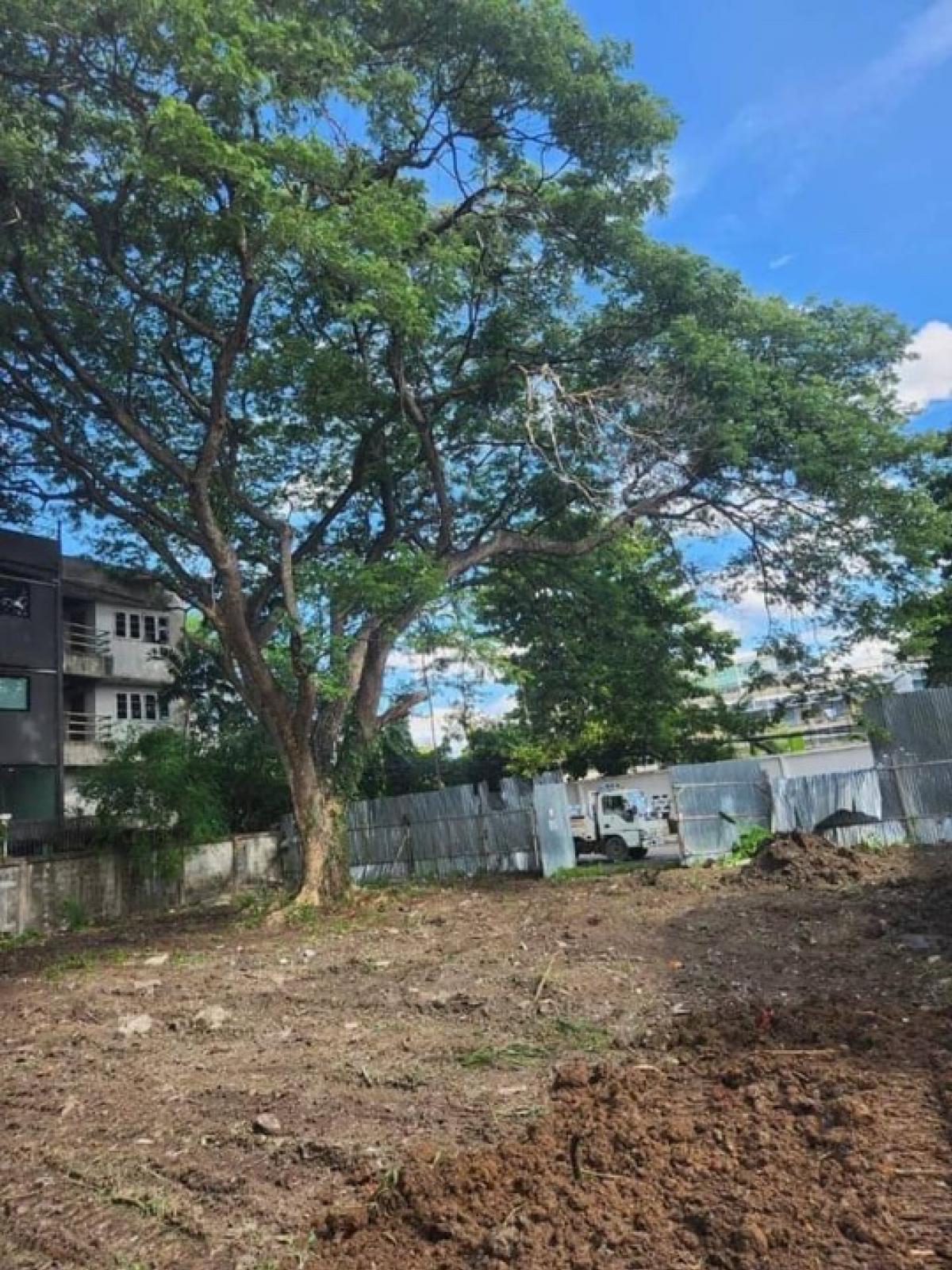 For RentLandAri,Anusaowaree : Rental land 230 square meters - Soi Phahonyothin 14, for rent, business, long -term rental