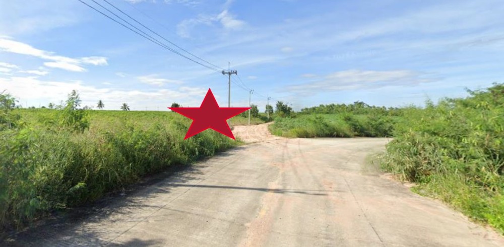 ขายที่ดินศรีราชา แหลมฉบัง บ้านบึง : Land for sale, Bowin Chonburi, 24 Rai, Purple zone