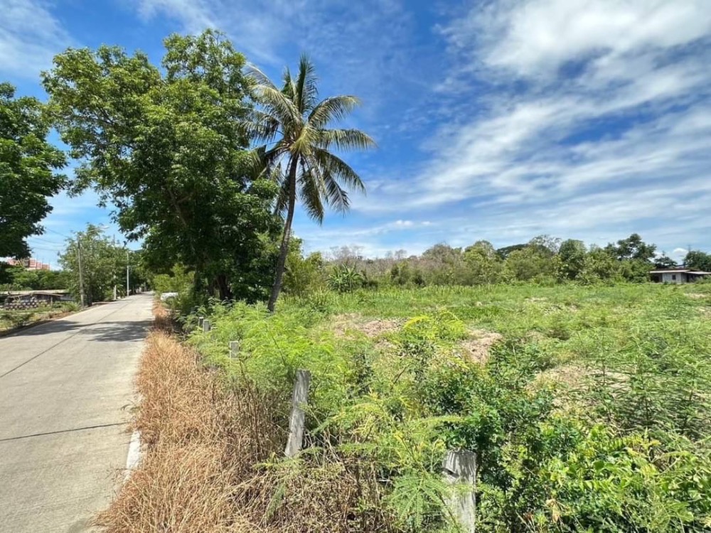 For SaleLandNonthaburi, Bang Yai, Bangbuathong : Empty land for sale, 4-1-60 rai, next to Highway 4118, near community areas. Khlong Khun Si Temple Suitable for building a residential house.