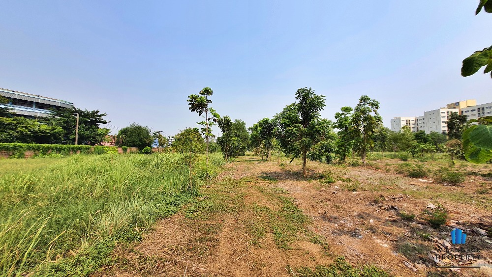 For SaleLandSeri Thai, Ramkhamhaeng Nida : Land for sale, 16-2-51 rai, already filled, next to Seri Thai Road, inbound side, near NIDA, Khlong Kum Subdistrict, Bueng Kum District, Bangkok.