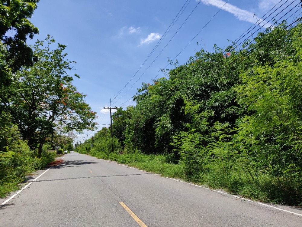 For SaleLandNakhon Pathom : Several plots of land already filled in for sale. Near Phetkasem Road, Tha Phraya Subdistrict, Nakhon Chai Si District Nakhon Pathom Province