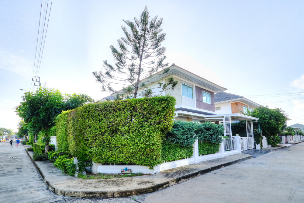 For SaleHouseNonthaburi, Bang Yai, Bangbuathong : Corner detached house, very beautiful garden, lots of space around the house, near MRT Tha It, Ngam Wong Wan Expressway, Ton Sak Market