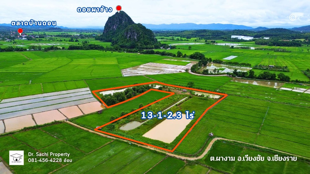 For SaleLandChiang Rai : Land for sale 13-1-2.3 rai, Doi Pha Chang view, Wiang Chai District, Chiang Rai Province.