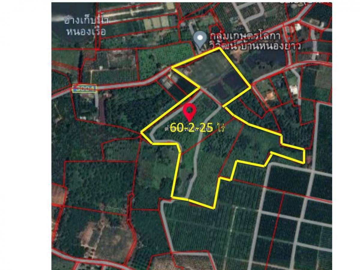 ขายที่ดินเชียงใหม่ : ขายที่ดิน60ไร่ อ.ฝาง จว.เชียงใหม่-ไร่ส้มเก่า (Land for Sales in Chiengmai)-0982565156, Line:  tonytengt