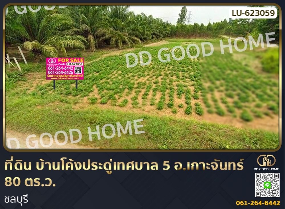 ขายที่ดินพัทยา บางแสน ชลบุรี สัตหีบ : ที่ดิน บ้านโค้งประดู่เทศบาล 5 อ.เกาะจันทร์ 80 ตร.ว. ชลบุรี