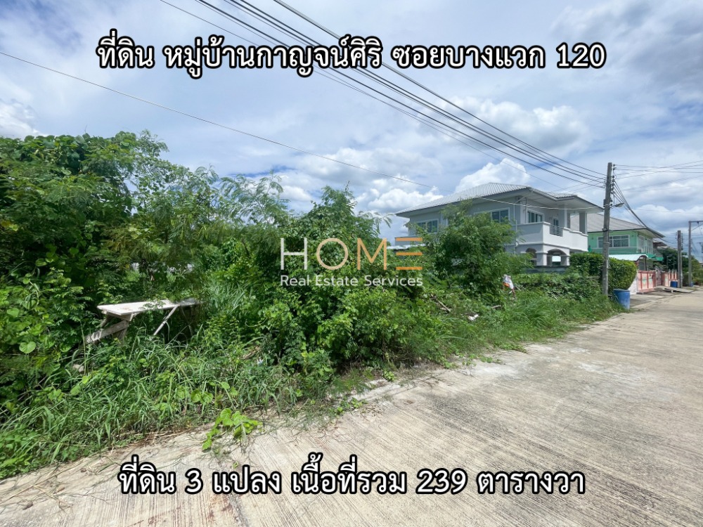 For SaleLandBang kae, Phetkasem : Land Kanchanasiri Village Soi Bang Waek 120 / (Sale), Land Kanchanasiri Village Soi Bang Waek 120 / (SALE) MHOW252