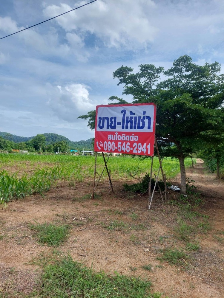 For RentLandSaraburi : Cheap rental, almost 7 rai, not far from the main road.  At the end of the alley there is a cafe.