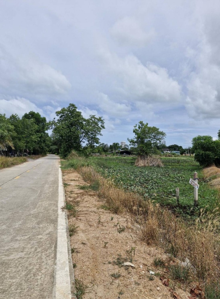 For SaleLandPattaya, Bangsaen, Chonburi : Land for sale, good location, 8 rai, Chonburi, near Dusit Pattaya Village. Wat Yansangwararam Baan Chin Antique Market. Total selling price 33 million baht or divided into 4 million baht per rai. Contact Khun Pui 089-920-9893, Line ID dpawadee.