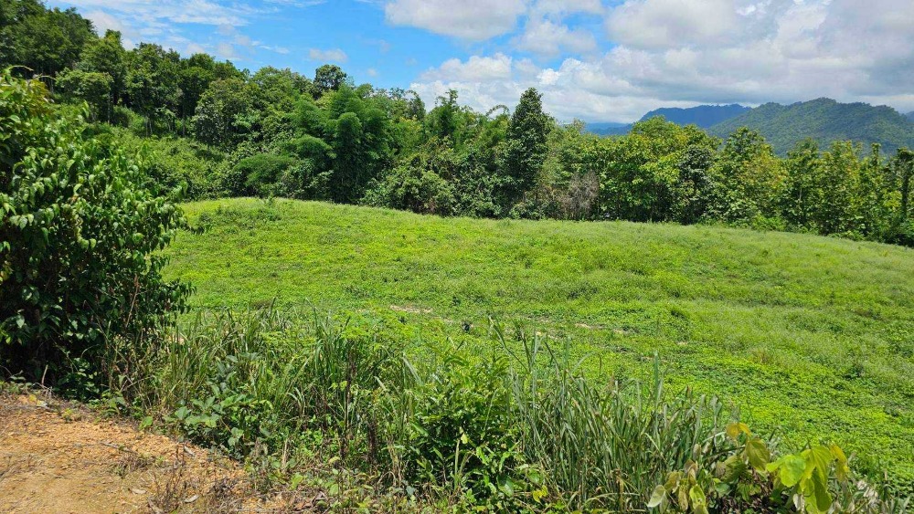 For SaleLandPhrae : land for sale, 5 rai 69 sq m, Mae Kueng Subdistrict, Wang Chin District, Phrae Province.