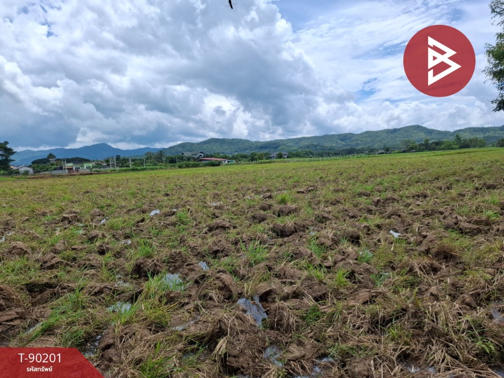 For SaleLandChiang Rai : Empty land for sale, 6 rai 35 square wah, Thoeng District, Chiang Rai.