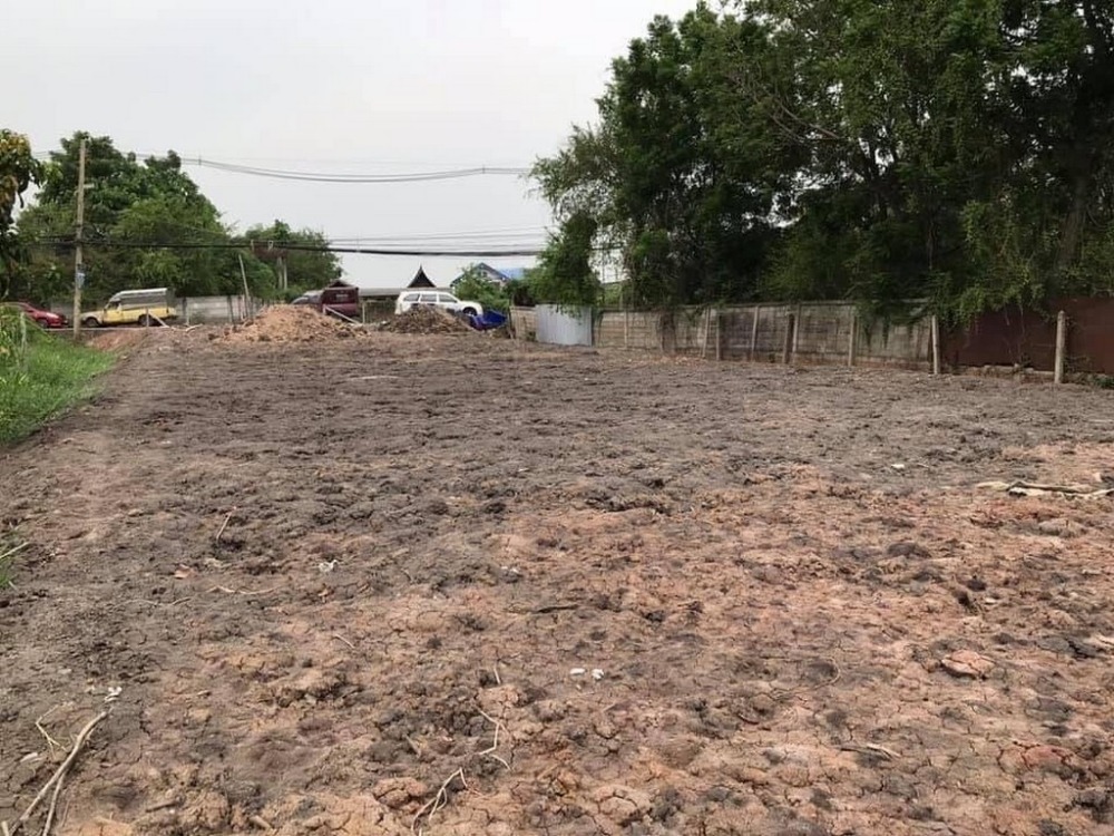 For SaleLandPathum Thani,Rangsit, Thammasat : Land for sale near the Chao Phraya River, size 238 sq m, Tha Lan Road, Khlong Nam Laeng 4004, Pathum Thani, cheap price.