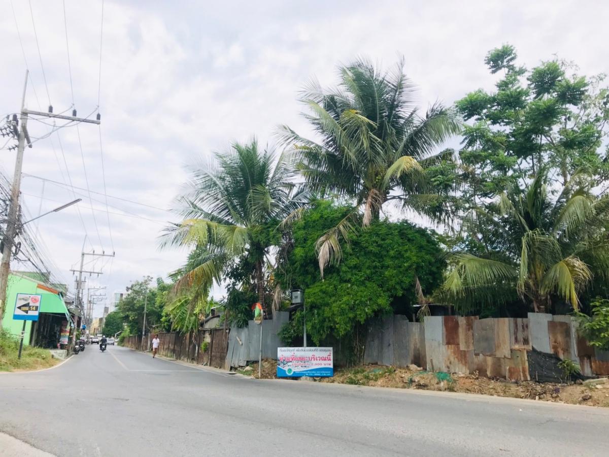 ขายที่ดินหาดใหญ่ สงขลา : ขายที่ดินใจกลางเมืองหาดใหญ่ ขนาด 6 ไร่เศษ ถ.เพชรเกษม