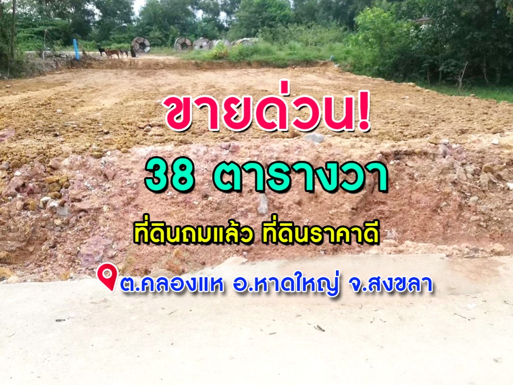 For SaleLandHatyai Songkhla : Urgent sale, land area 38 square wah, cheap price, Hat Yai District, Songkhla Province