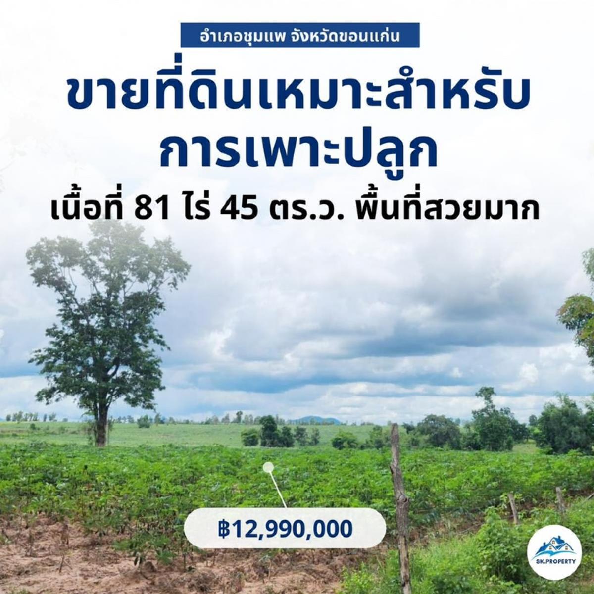 ขายที่ดินขอนแก่น : ขายที่ดิน  อ. ชุมแพ จ.ขอนแก่น