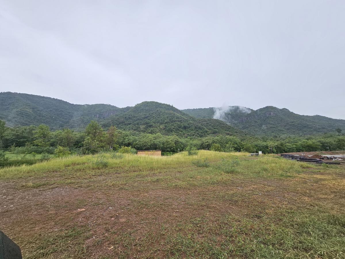 For SaleLandPak Chong KhaoYai : Toscana Valley Land