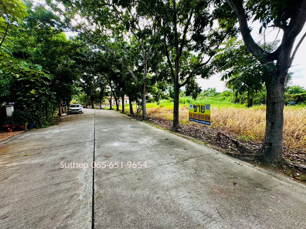 For SaleLandRayong : Land for sale at a cheap price, area 72/135/156 square wa, 15,000 baht, in Suan Suksiri Village, near the Noen Phra Transport Office, Rayong.