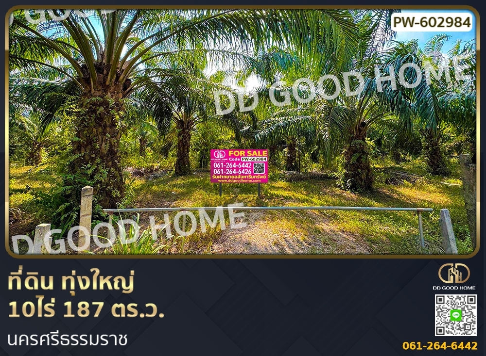 For SaleLandNakhon Si Thammarat : Land, Thung Yai 10 rai 187 sq w. Nakhon Si Thammarat