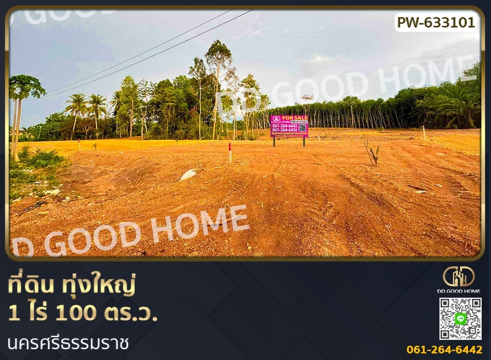 For SaleLandNakhon Si Thammarat : Land Thung Yai 1 rai 100 sq w. Nakhon Si Thammarat