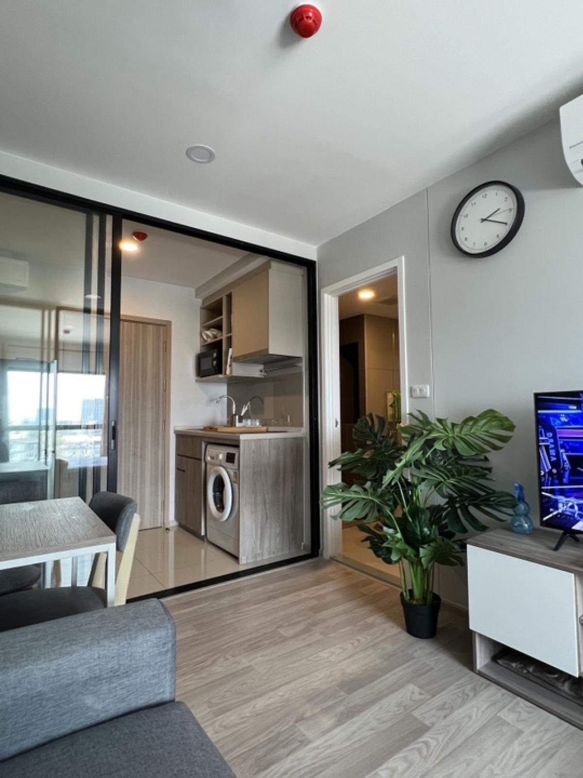 ให้เช่าคอนโดอ่อนนุช อุดมสุข : Plum Condo Sukhumvit 97.1 Rent