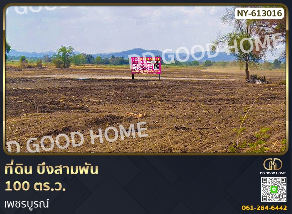 ขายที่ดินเพชรบูรณ์ : ที่ดิน บึงสามพัน 100 ตร.ว. เพชรบูรณ์