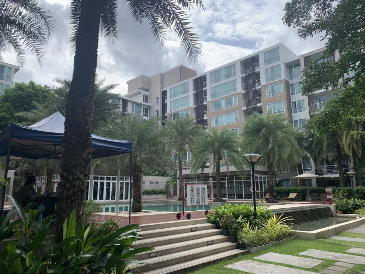 For SaleCondoPattanakan, Srinakarin : For sale ELEMENTS SRINAGARINDRA CONDO 7f, 36.64sq.mSale price:2.55 MBView swimming pool 不西曬面泳池售255萬銖