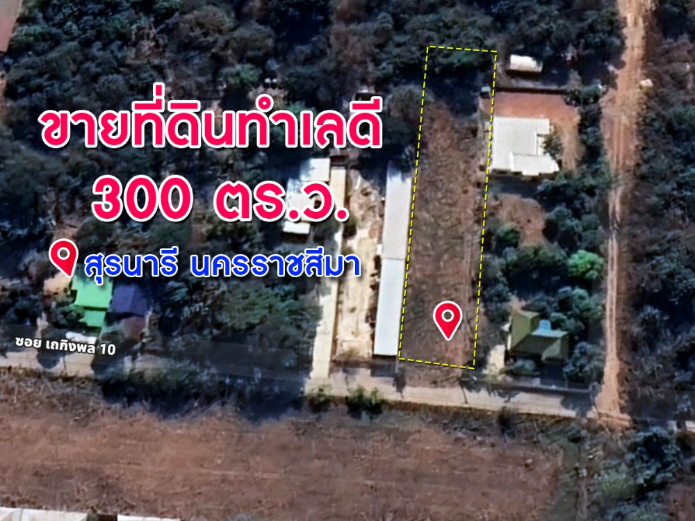 For SaleLandKorat Nakhon Ratchasima : Land for sale, good location, area 300 sq m, Suranaree, Nakhon Ratchasima