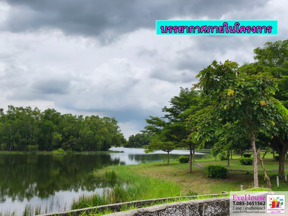 ขายที่ดินปทุมธานี รังสิต ธรรมศาสตร์ : ขายที่ดิน คลองสาม รังสิต อยู่ในโครงการคันทรี การ์เด้น ถนนเลียบคลองสาม - ปทุมธานี ขนาด 2 ไร่ ราคา 5 ล้านบาท