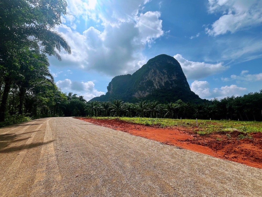 For SaleLandKrabi : Land for Sale near Krabi International School with 10-meter Wide Road (4 Plots : Each 1 to 2 Rai)