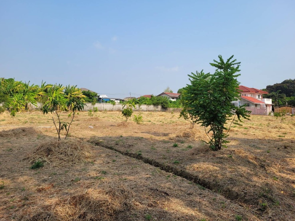 For RentLandPinklao, Charansanitwong : Land for rent, filled in, Taling Chan, very beautiful