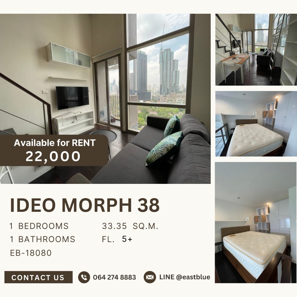 ให้เช่าคอนโดสุขุมวิท อโศก ทองหล่อ : Ideo Morph 38 Pet-Friendly 1 Bed 22k per month