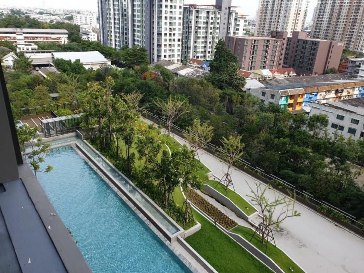 For RentCondoOnnut, Udomsuk : 🔥Urgent rent🔥Whizdom Essence Sukhumvit Condo 1 bedroom 1 bathroom 1 living room Size 33.9 sqm. Floor 10 Swimming pool view 1 bedroom 1 bathroom 1 living room Size 33.9 sqm. Floor 10 Fully Furnished