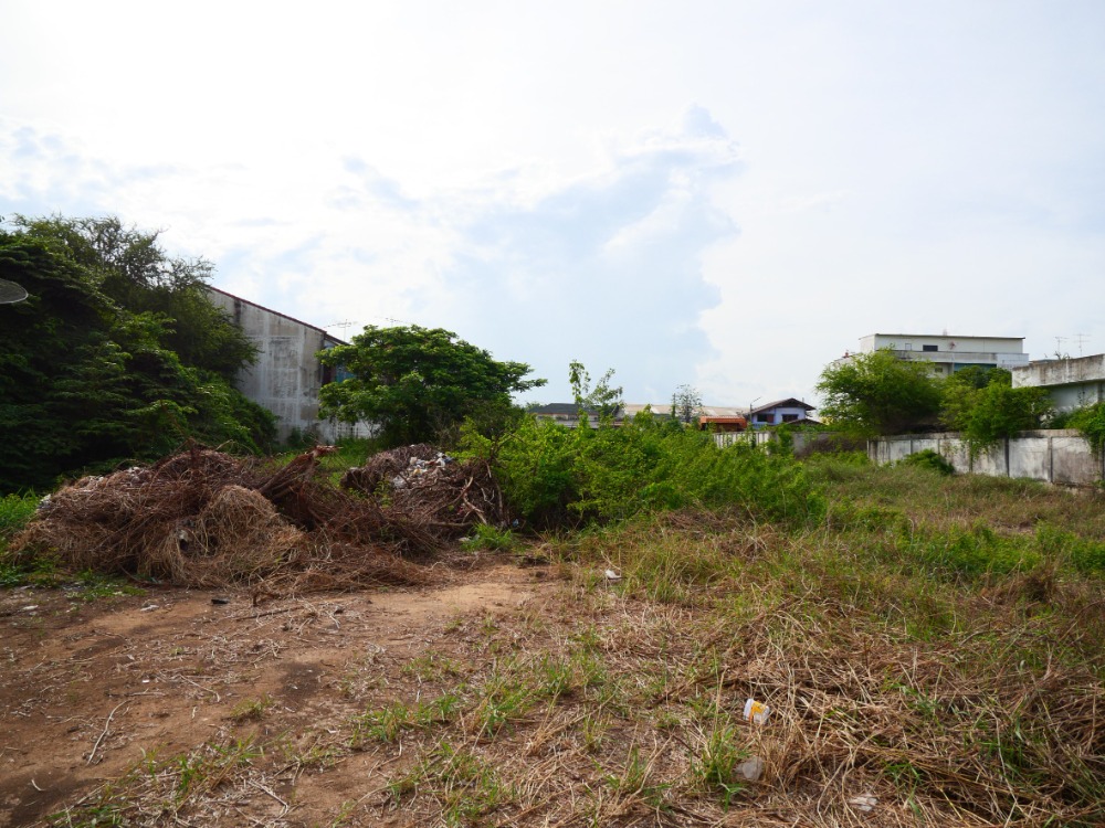 For SaleLandAng Thong : Land in the city, in front of Pamoke Hospital, beautiful plot, Ang Thong