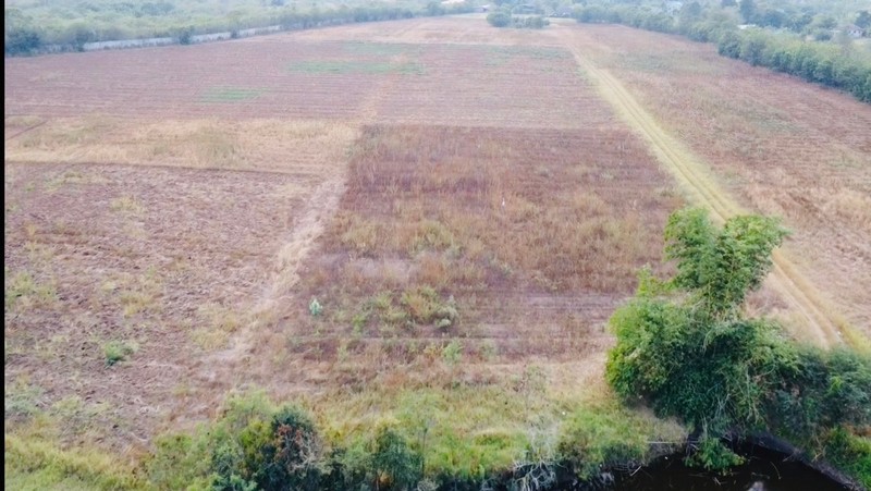 For SaleLandPak Chong KhaoYai : 1 plot of land, size 40-2-58 rai, Pak Chong, Nakhon Ratchasima, next to the road, Soi Takhian Thong, near Baan Suan Ton Rak