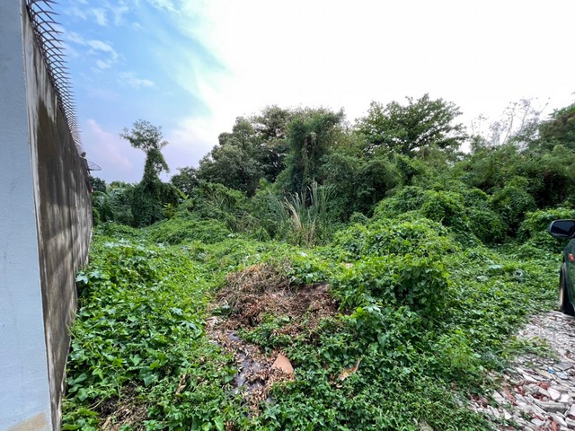 For SaleLandVipawadee, Don Mueang, Lak Si : Land for sale, beautiful plot shape, Soi Songprapa 1, Intersection 4 - 15, divided into 2 plots, size 380 sq m, land filled and new fence, ready.