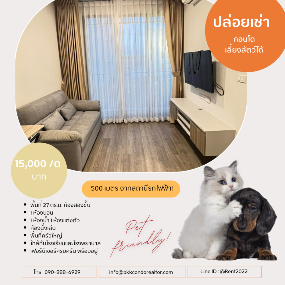 For RentCondoBangna, Bearing, Lasalle : Pet friendly😸🐶 For rent📌Brixton Pet & Play Sukhumvit 107 (Line:@rent2022) Beautiful room, ready to move in, good price!!